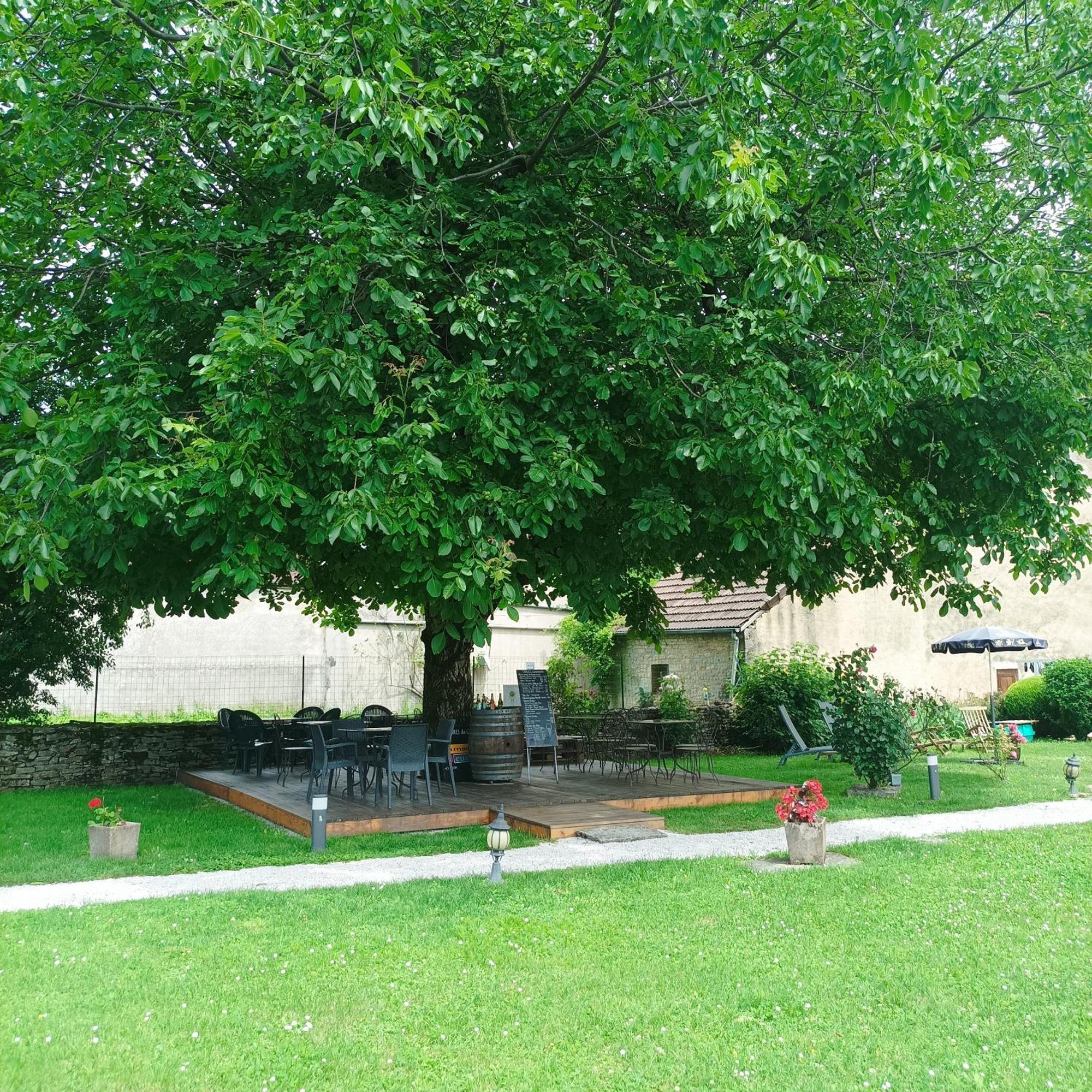 Maison D'Eusebia Château-Chalon Zewnętrze zdjęcie